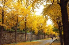 赏秋攻略：北京城那些赏秋的地方！您知道多少